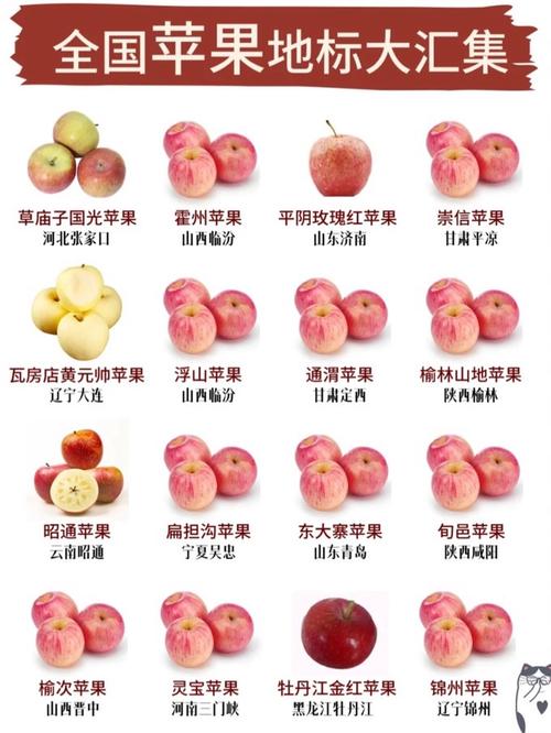苹果手机换屏幕大概需要多少钱