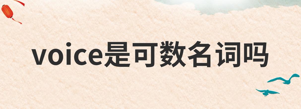 voice可数吗