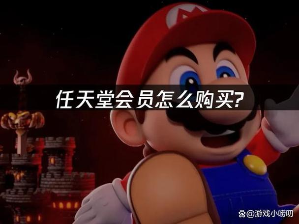 switch一年会员多少钱截图