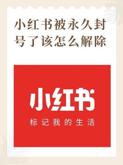 小红书被永久禁言怎么解除缩略图