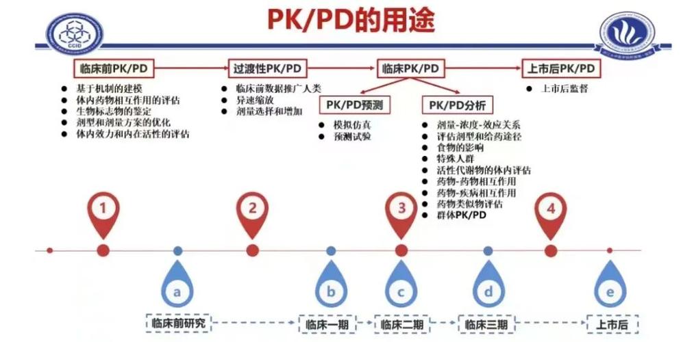 pk/pd是什么意思医学