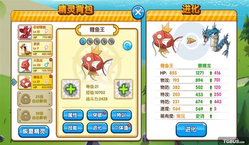 口袋妖怪叶绿鲤鱼王几级进化