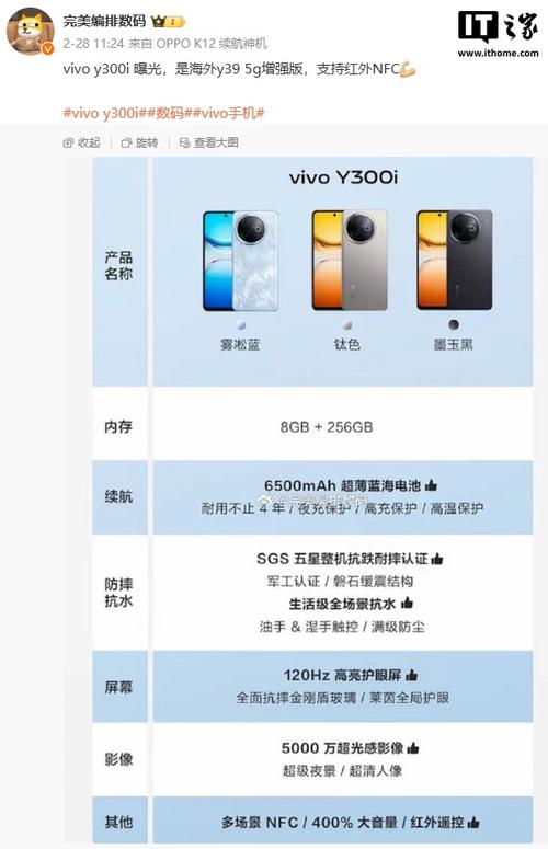 vivoy300i值得买吗