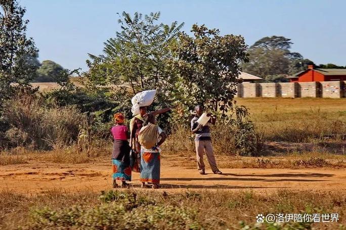 赞比亚打工的10大忠告