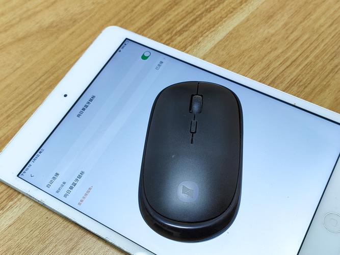 ipad7可以用蓝牙鼠标吗