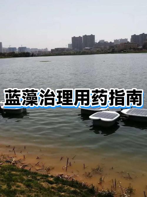蓝藻怎么消灭最简单方法