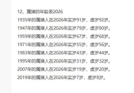 年龄公式=2026-MID