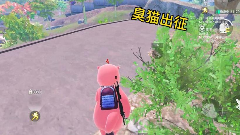 和平精英臭猫扶贫日记