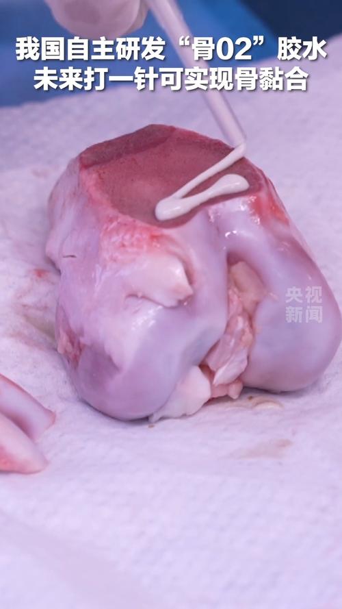 怎么把骨头熬成骨胶