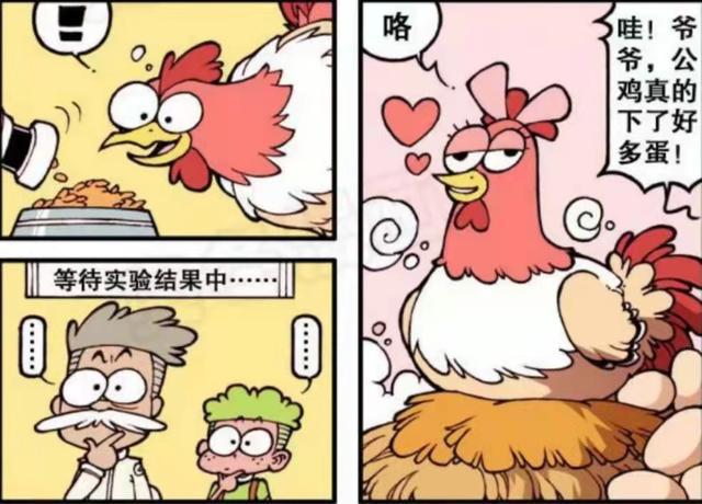 蛋多多鸡吃了有什么用