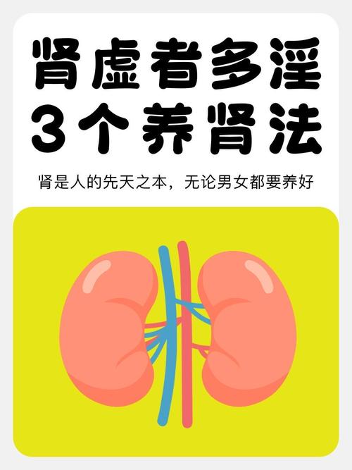女人养肾补精的最好方法是什么