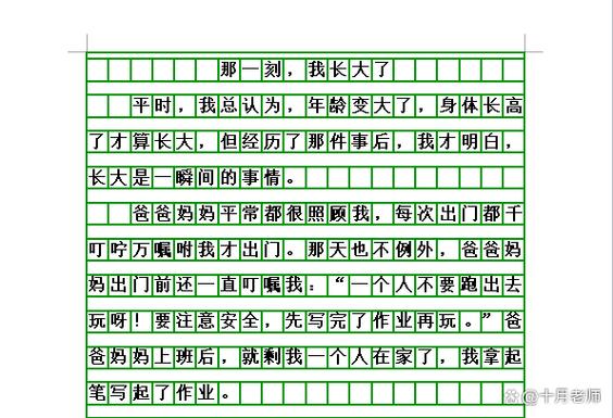 我当了一回小老师作文400字图标