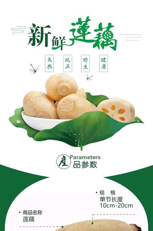 莲藕电商平台
