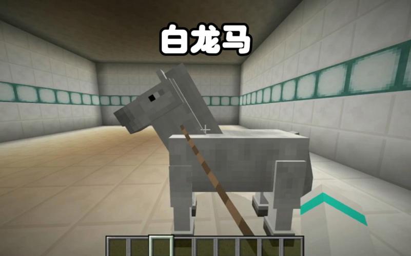 我的世界哪种马最快