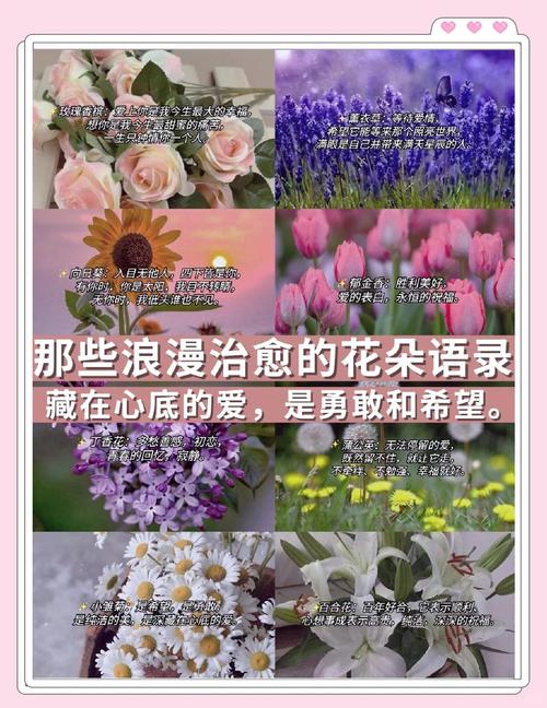 经典语句花花世界