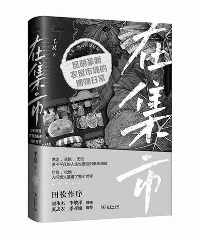 半夏书舍小说
