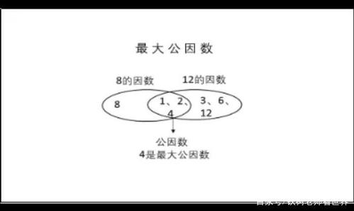 24和32最大公因数