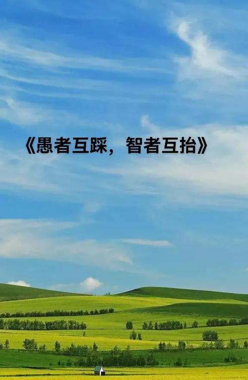 智者与愚者的经典语句