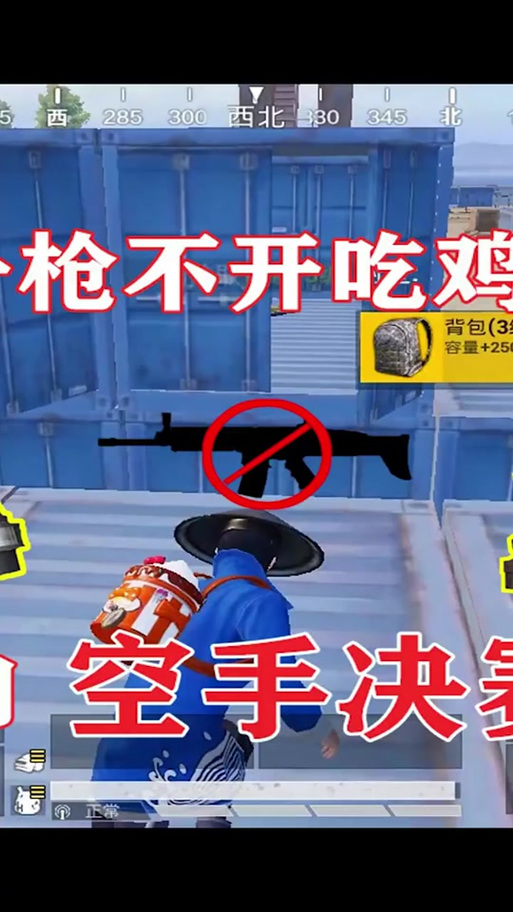 明月和平精英视频