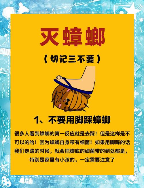 小蛙和小强规则怪谈