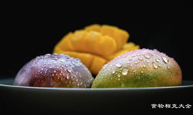 芒果相克食物表