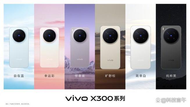 vivox300不支持模拟音频设备