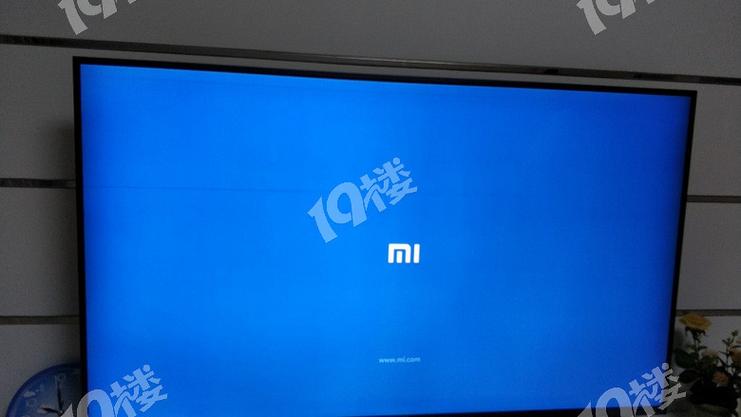 小米屏幕有一条亮横线游戏截图