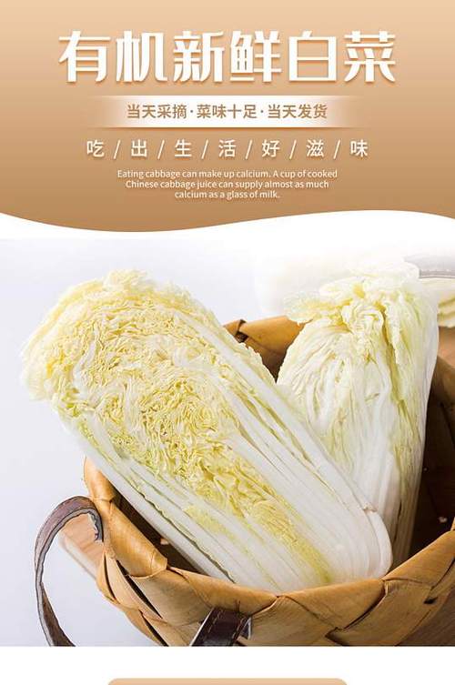 白菜淘app怎么赚钱