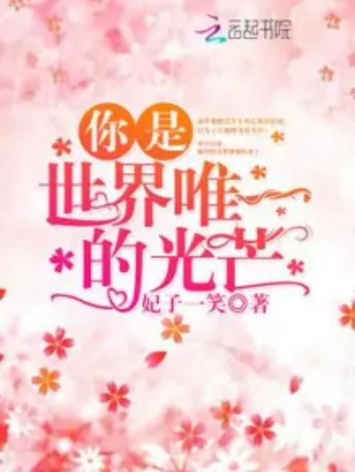 你是世界唯一的光芒全本免费