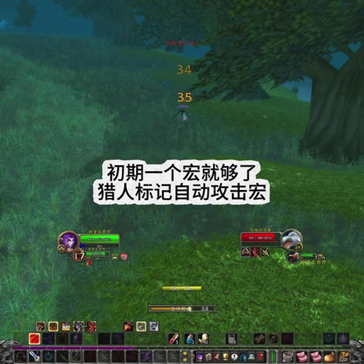 自动打怪宏