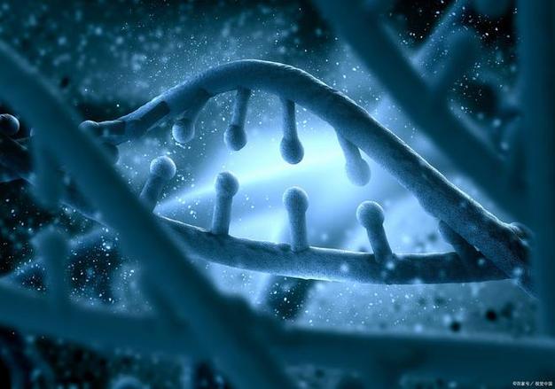 合成动物2026年最新下载