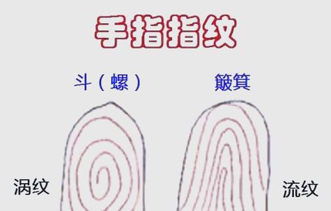 人死了指纹能解锁吗