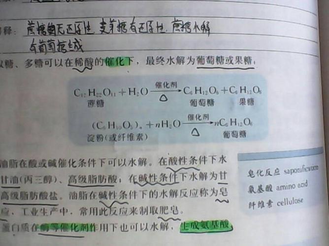 白糖和什么起化学反应