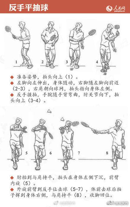 羽毛球各种球的打法截图