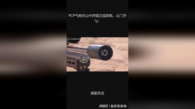 pcp专版狩猎风云手机版图标