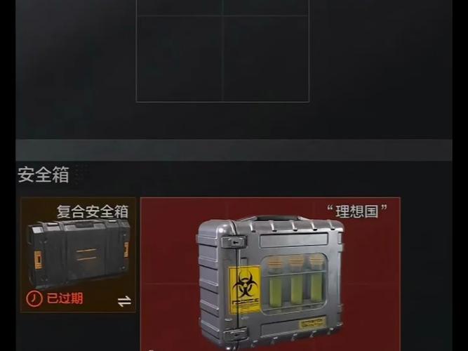 暗区突围仓库的扩展箱