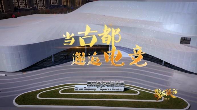 陕西卫视直播免费观看