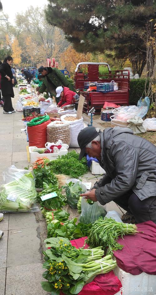 菜市场摆摊卖什么缩略图
