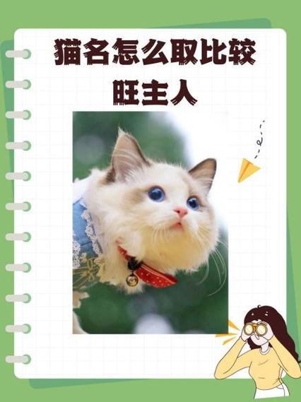 公猫和母猫的别称截图