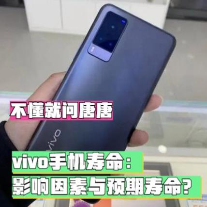 vivo手机的寿命一般是多少年