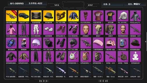 pubg摁键查看武器击杀