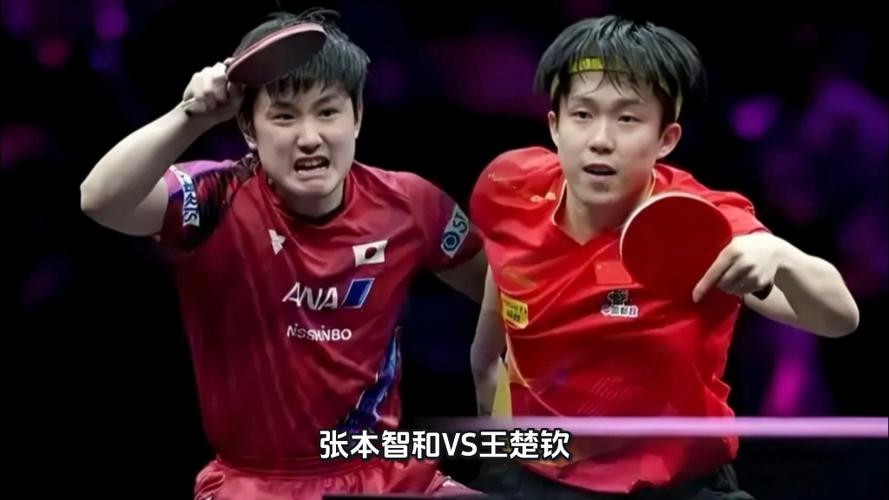 王楚钦vs张本智和