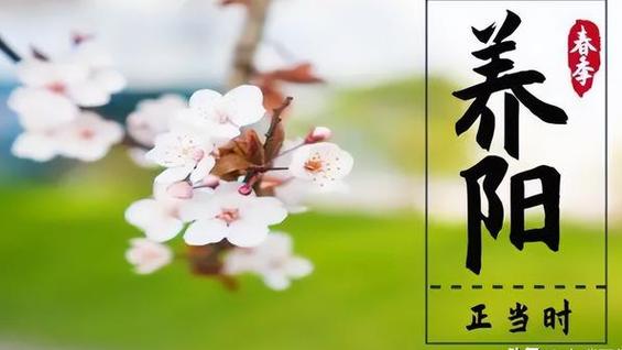 休闲足浴按摩养生