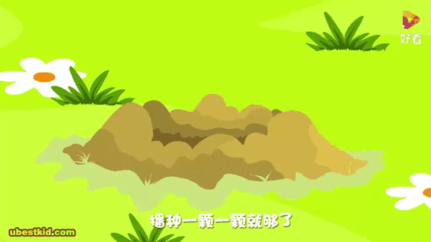 种太阳细思极恐的地方
