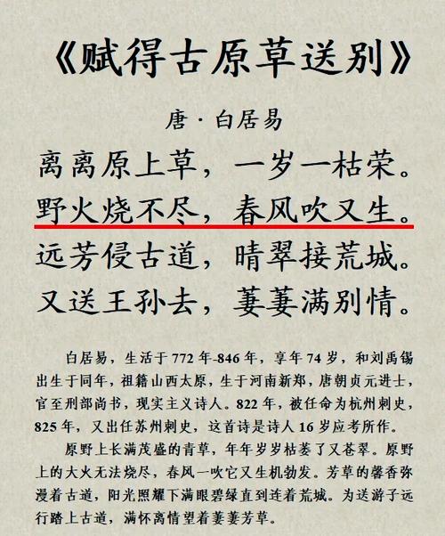七七满别情上一句是什么