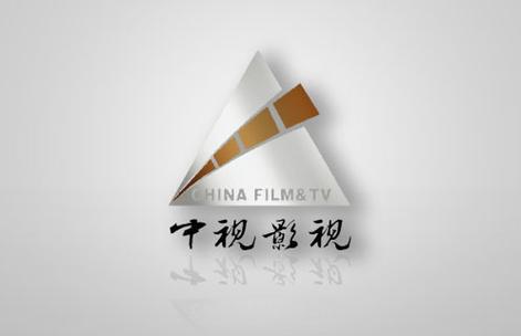 电视剧出品公司和制作公司