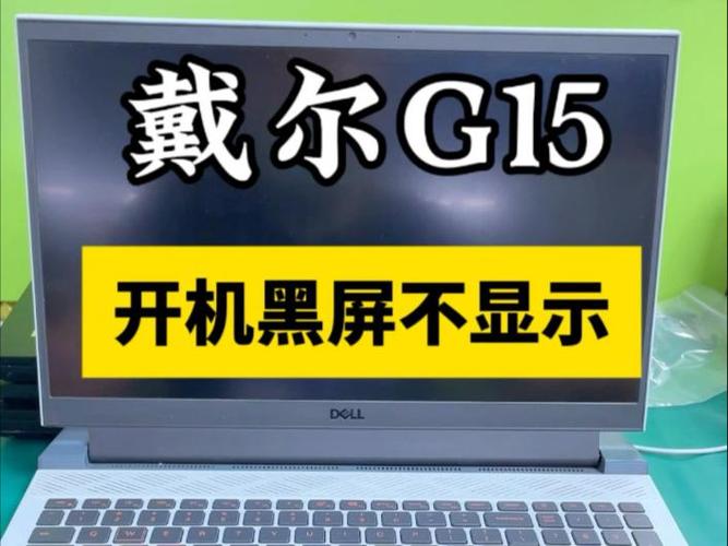 dell笔记本开机键盘亮屏幕不亮游戏截图