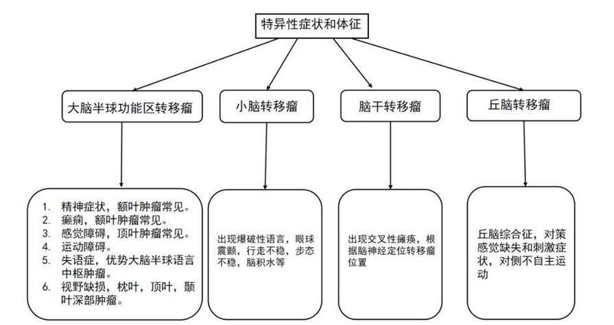 癌症为什么会扩散转移