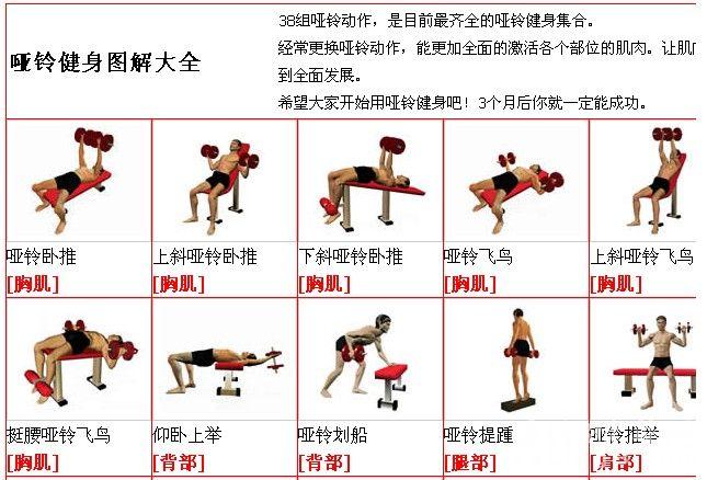 老人哑铃的正确锻炼方法