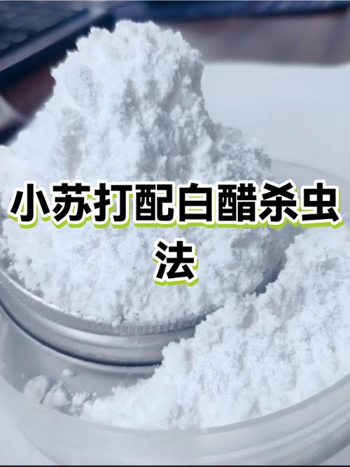 小苏打白醋杀虫最佳配方